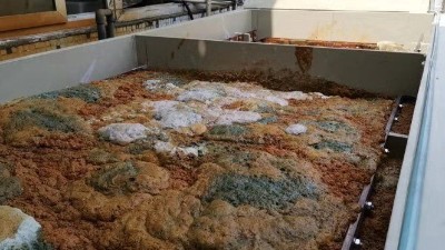 工業污水處理脫色設備-三人行環境電氧化脫色設備