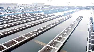 重金屬廢水處理技術(shù)研究進(jìn)展與未來展望