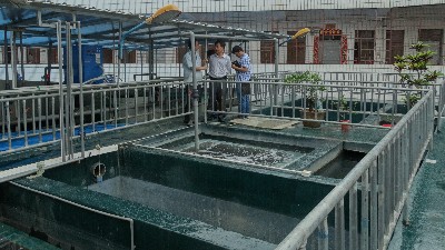 防染鹽廢水如何處理？