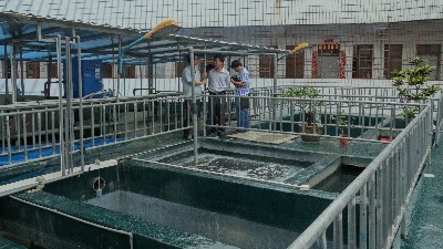 傳統線路板廢水處理工藝存在的致命缺點