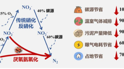 高氨氮廢水厭氧氨氧化高效低碳脫氮技術